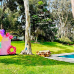 decoracion para cumpleanos de ninas chaclacayo peru